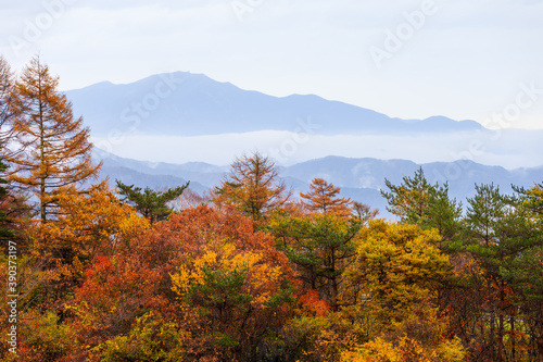日本の百名山・10月の八ヶ岳・山梨