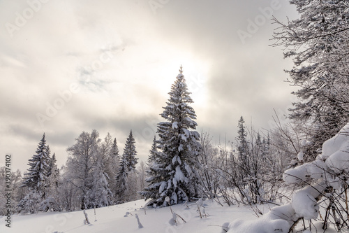 Winter landscape. Zyuratkul national Park  Chelyabinsk region  South Ural  Russia