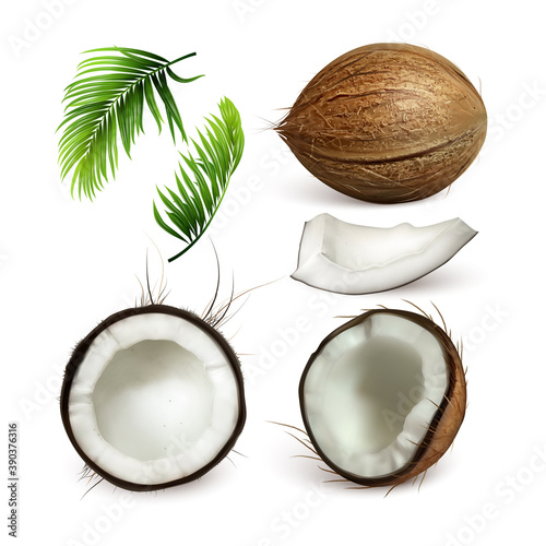 Coconut Tropical Tree Nut And Branch Set Vector. Collection Of Different Part Of Coconut, Sliced Cut Piece And Green Leaves Exotical Palm. Coco Plant Template Realistic 3d Illustrations