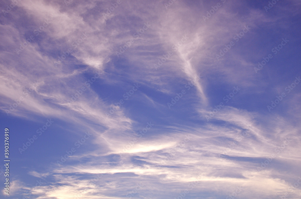 Obraz premium 薄暮の空