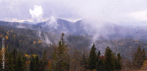 Natural gloomy background of autumn mountains with yellow trees and fir trees on a cloudy day with clouds in the sky and fog. Banner wallpaper