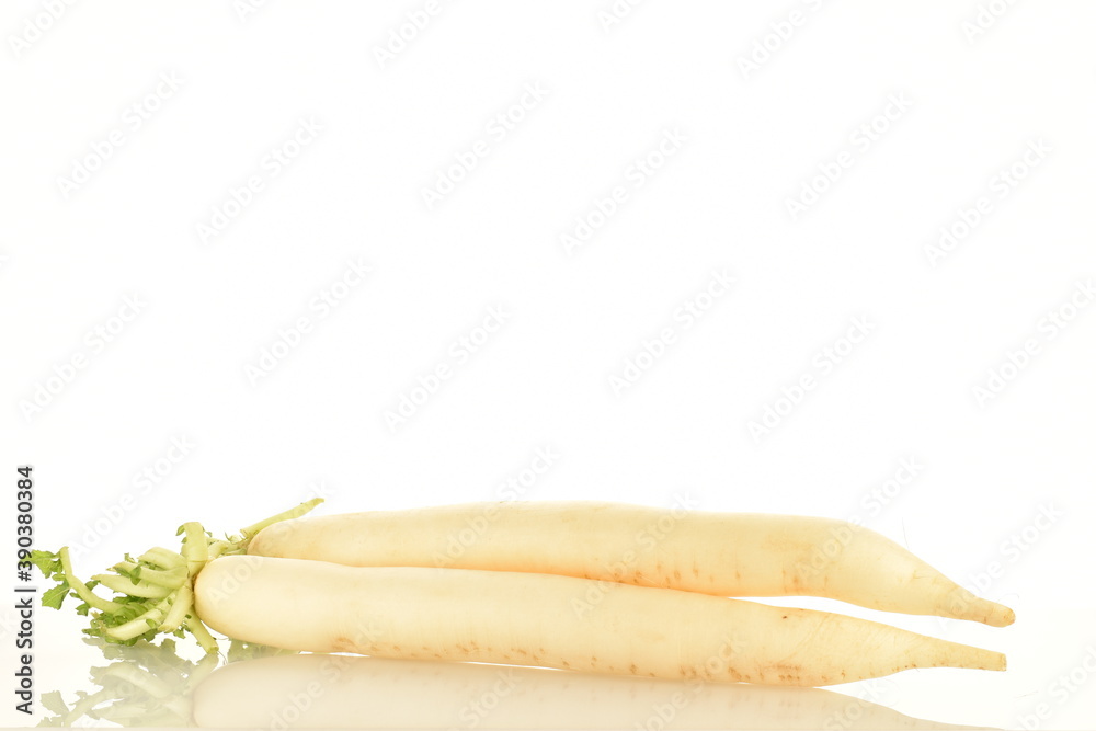 fresh radishes, close-up, isolated on white. fresh radishes, close-up, isolated on white.