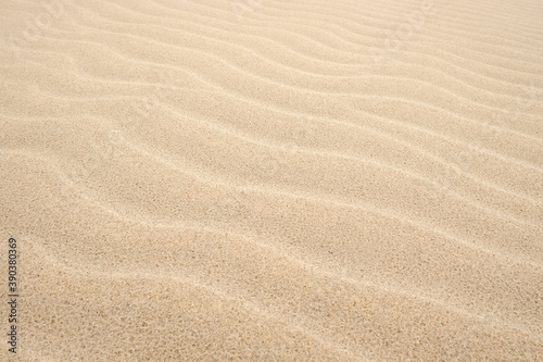 Sandy pattern background. Natural dune waves.