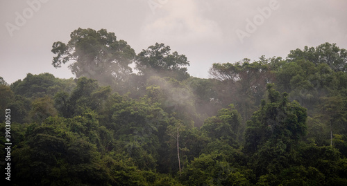 Mist over the amazonian jungle