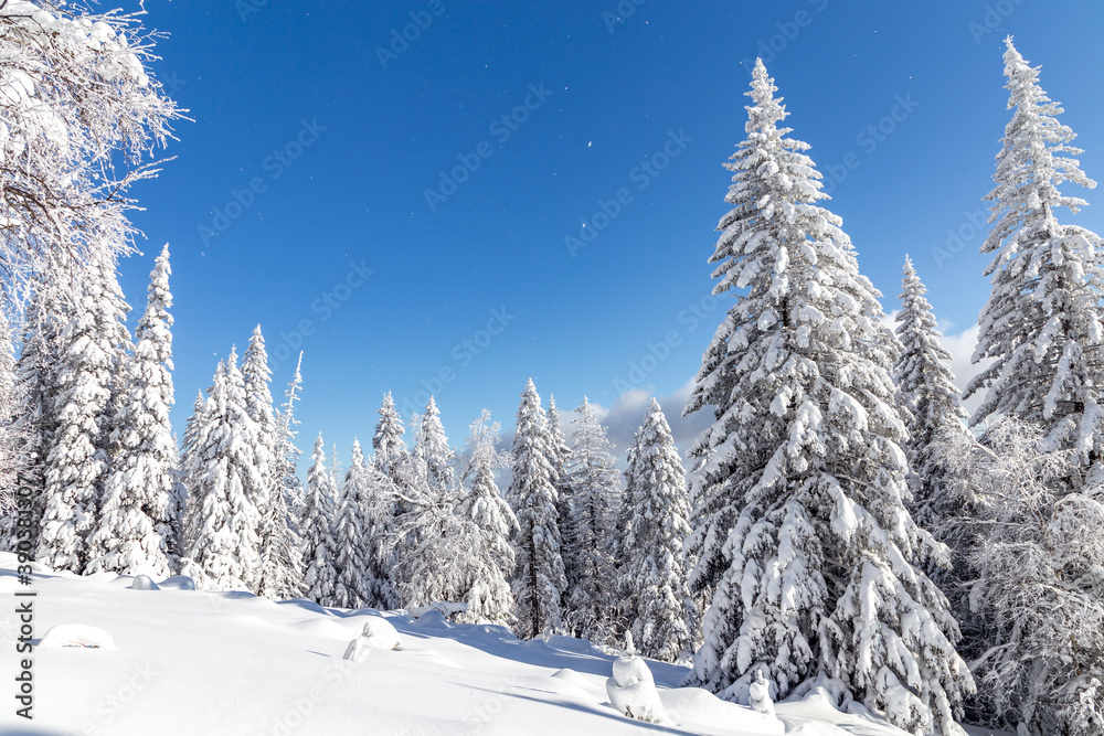 Fototapeta premium Winter landscape. Zyuratkul national Park, Chelyabinsk region, South Ural, Russia.