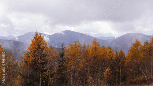 Natural gloomy background of autumn mountains with yellow trees. Cloudy day with clouds in the sky