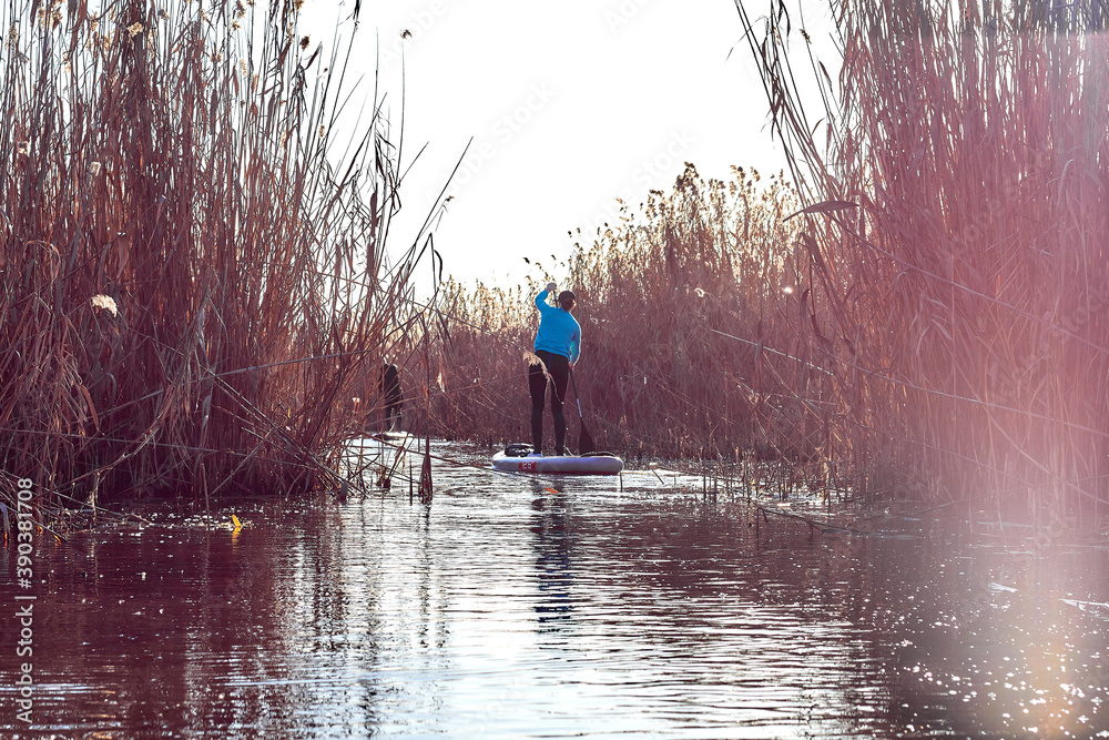 Back view of woman on stand up paddle board (SUP) rowing on the river aе sunny autumn day