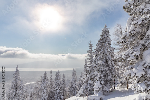 Fototapeta Naklejka Na Ścianę i Meble -  Winter landscape. Zyuratkul national Park, Chelyabinsk region, South Ural, Russia.