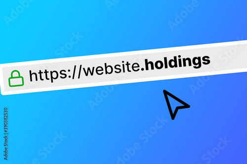 URL for a website with a holdings TLD (top level domain) in the navigation bar photo