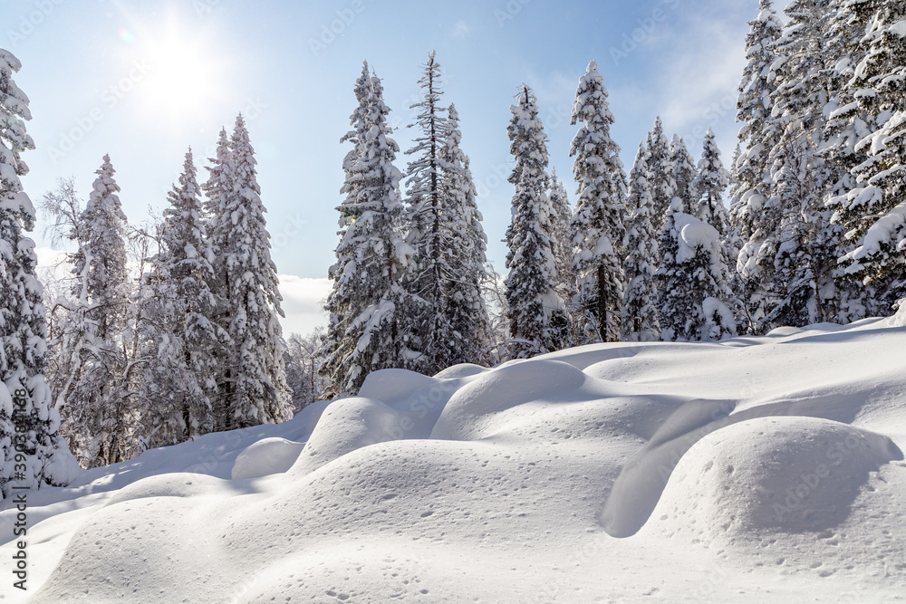 Winter landscape. Zyuratkul national Park, Chelyabinsk region, South Ural, Russia. Winter landscape. Zyuratkul national Park, Chelyabinsk region, South Ural, Russia.