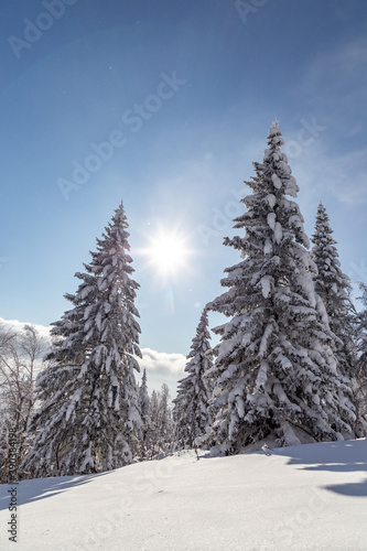 Winter landscape. Zyuratkul national Park  Chelyabinsk region  South Ural  Russia.