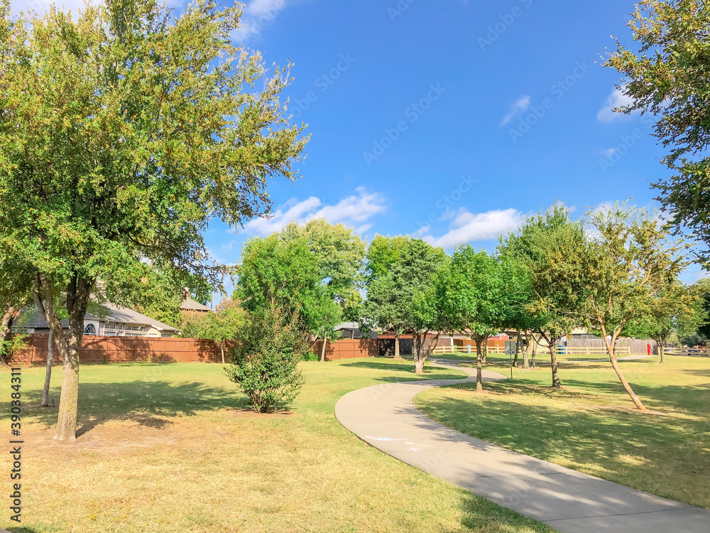 S-curved pathway with mature oak trees at residential park and suburban houses in Texas, USA