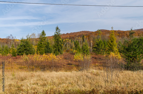 Fototapeta Naklejka Na Ścianę i Meble -  Bieszczady panorama 