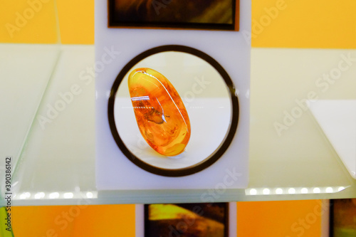 Magnifying glass on yellow transparent natural amber with inclusions.Insect inside of  photo