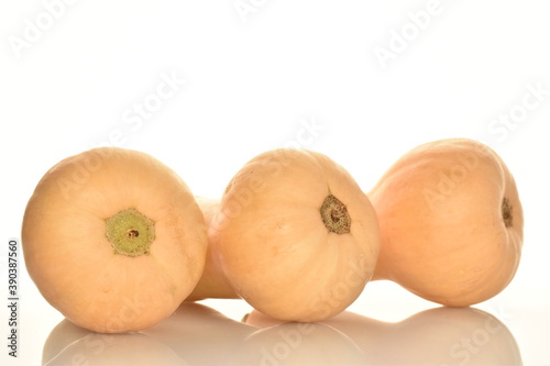 Ripe organic pumpkin  close-up  on a white background.