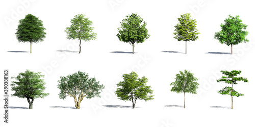 collection of 3D Green Trees Isolated with shadow on white background