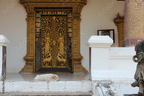 buddhist temple (wat choumkhong) in luang prabang (laos) photo