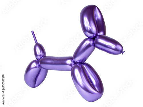 Violet bright balloon dog isolated on the white