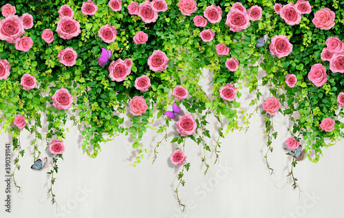 Fotografie, Obraz 3D pink roses with butterflies on a living wall of greenery.