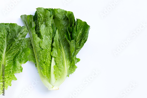 Fresh romaine lettuce isolated on a white background