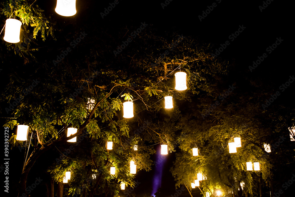 The lanterns on the tree are illuminated