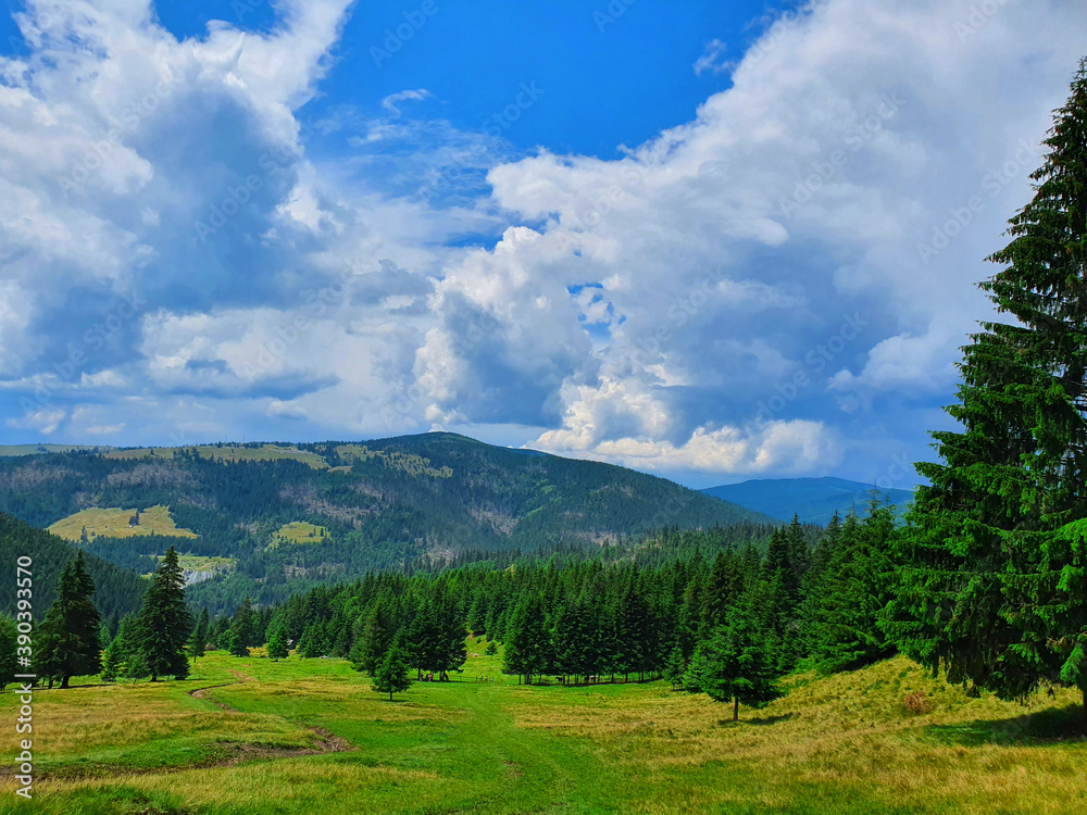 Mountain View in the Carpathians