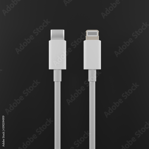 3d rendering USB type C and lightning on background, universal computer cable connectors, computer peripherals connector or smartphone recharge supply, illustration