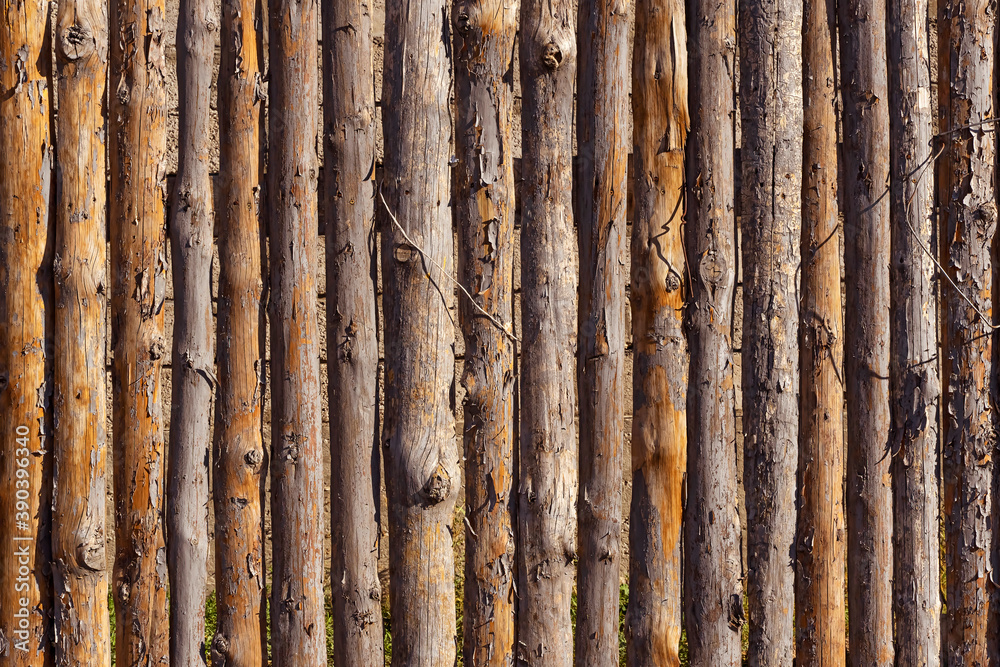 Wooden fence. Wooden trunks. A row of wooden posts. Wood texture. Wood trunk surface texture. Surface of wooden branches Wooden fence. Wooden trunks. A row of wooden posts. Wood texture. Wood trunk surface texture. Surface of wooden branches