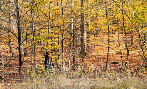 Una mujer sacando fotos con su celular en un bosque en otoño - A woman taking photos with her cell phone in a forest in autumn