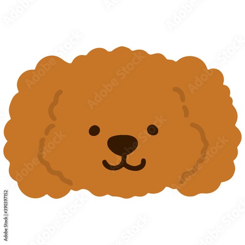 Toy Poodle simple flat colored