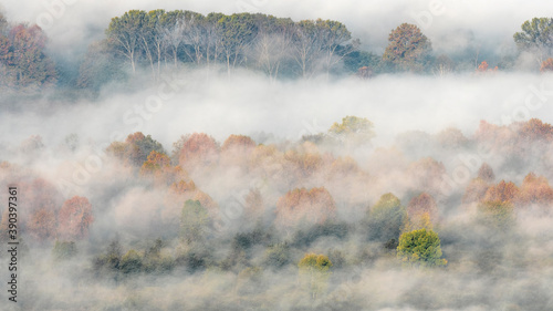 Autumn colors in the misty forest at sunrise
