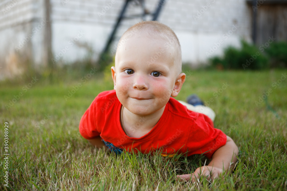 portrait of funny little boy on the grass portrait of funny little boy on the grass