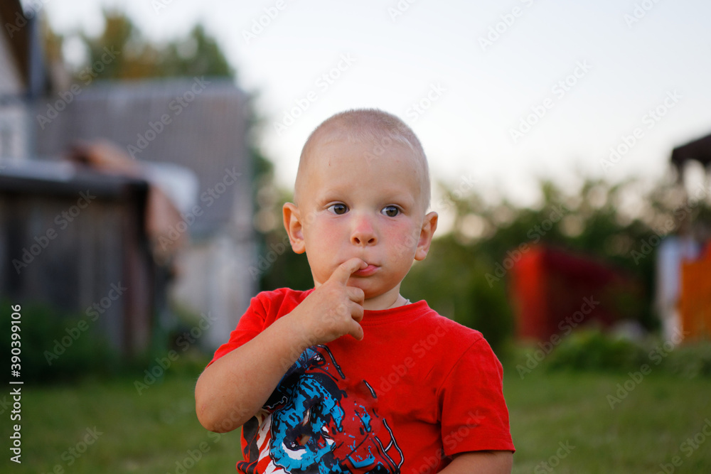 portrait of funny little boy on the grass portrait of funny little boy on the grass