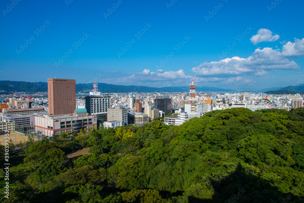 緑と和歌山市街の眺望