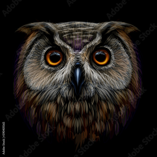 Long-eared Owl. Color, graphic  portrait of an owl on a black background. Digital vector drawing