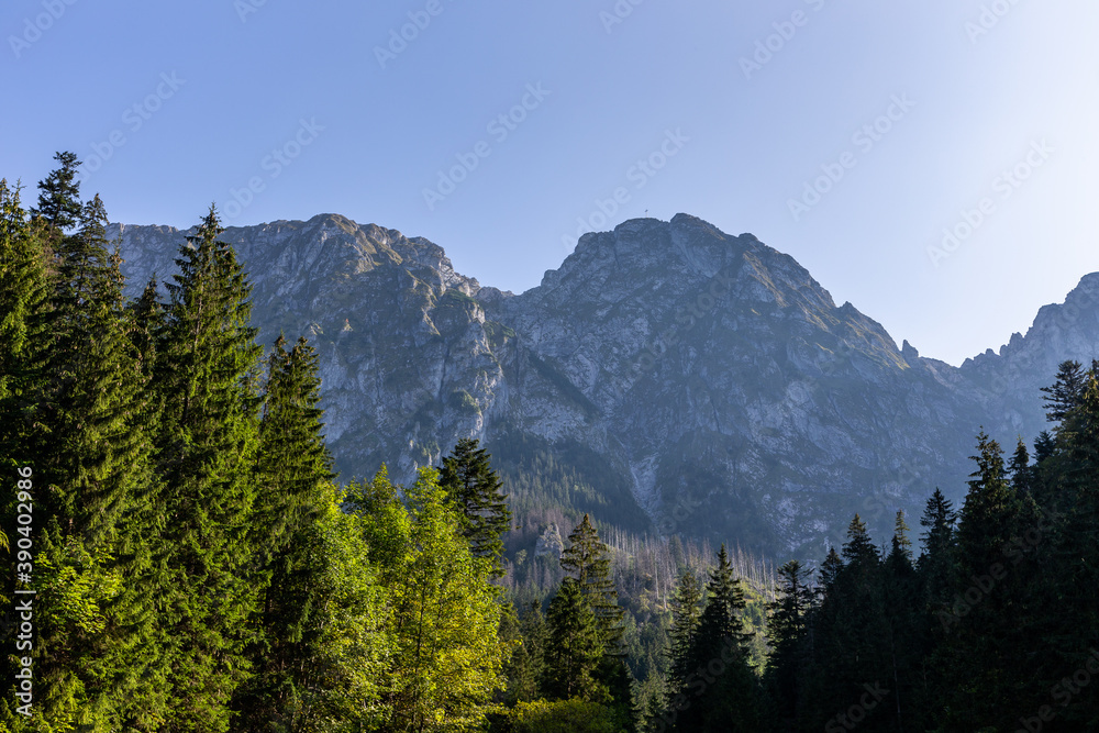 Giewont Mountain (Sleeping Knight) in Tatra Mountains in Poland, view of the Great Giewont peak with steel cross among pine trees.