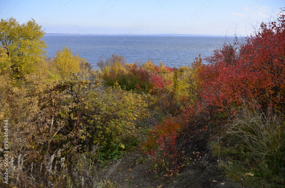 Fototapeta premium autumn landscape in the mountains