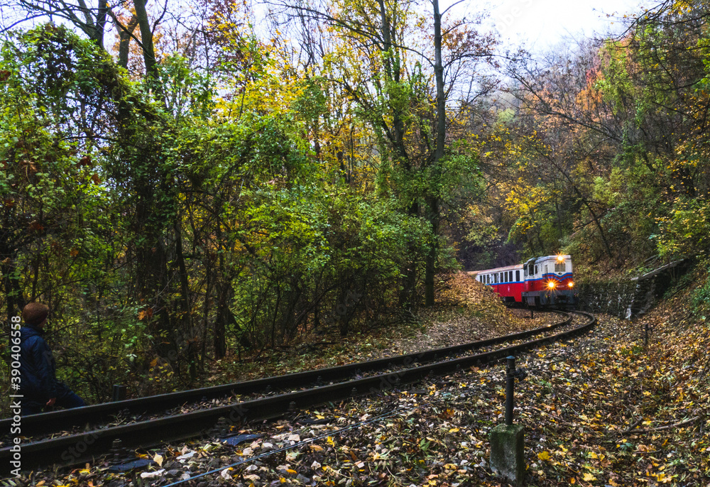 Naklejka premium Autumn in Buda Hills over Budapest