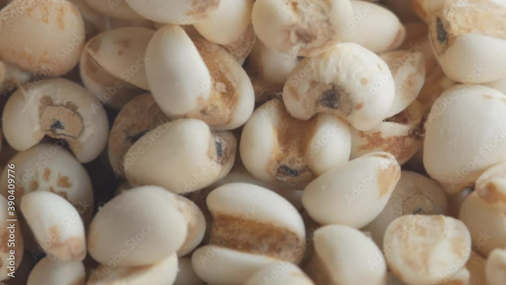Top view of Job's tears, Adlay millet or pearl millet, Healthy food rotation.