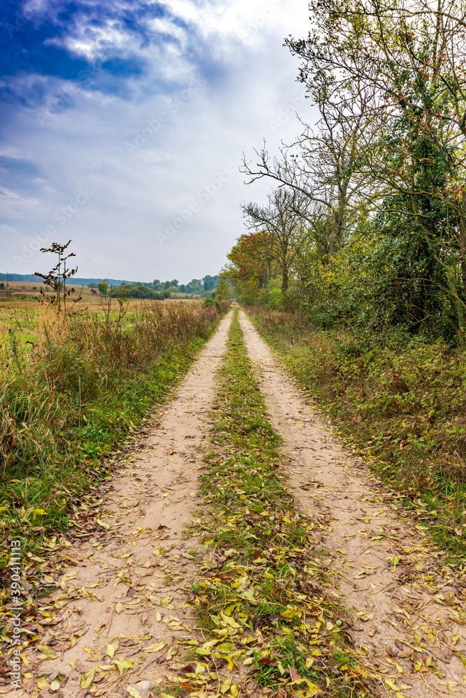 Road in the countryside Road in the countryside