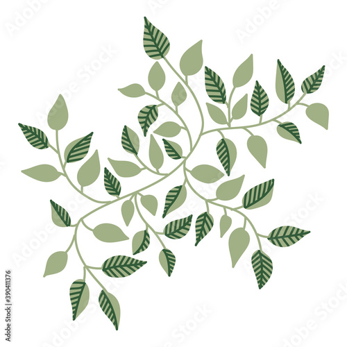 Vector illustration of hanging climbing vines with green leaves of loach sliding down the wall or hedge decor for design