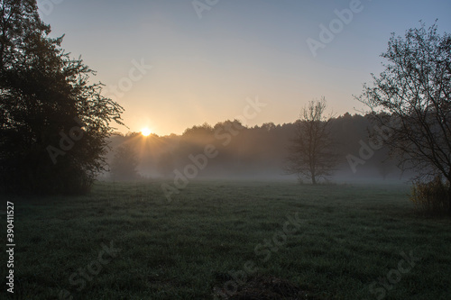Vivid colors of October sunrise in a dewy meadow. Kampinos National Park, Warsaw, Poland. The silhouettes of the trees are blurred due to the fog covering the field. © juste.dcv