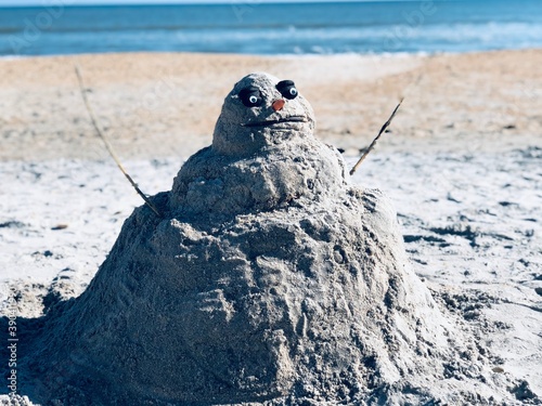 Florida Snowman
