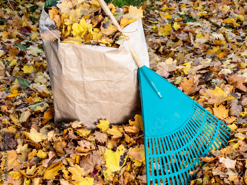 a plastic yard rake leaning against a paper bag full of leaves