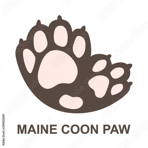 Maine coon paw cat footprint fingerprint logo sign show sale cattery shelter animal vector symbol zoo ecology cute polydactyly finger