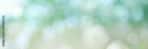 Green light leaves blurred and blur natural abstract. Effect sunlight  soft bright shiny style  bokeh circle yellow and orange blurry morning . For wallpaper backdrop and background.
