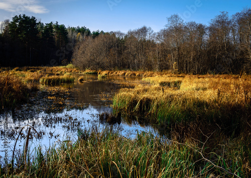 Autumn pond, filmed in a defocus in the style of Impressionism.
