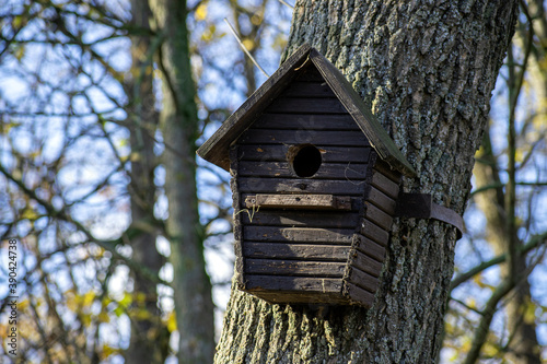 bird house on tree © Андрей Гордиенко