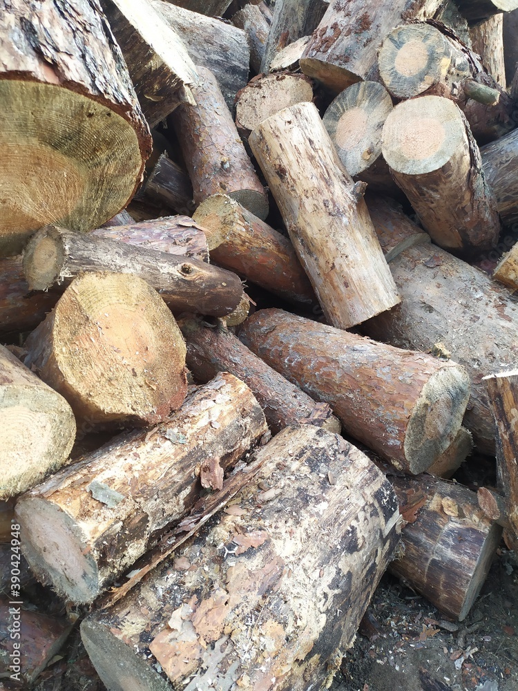 stack of logs