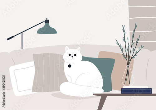 A fluffy white cat sitting on a sofa, domestic life, cozy interior
